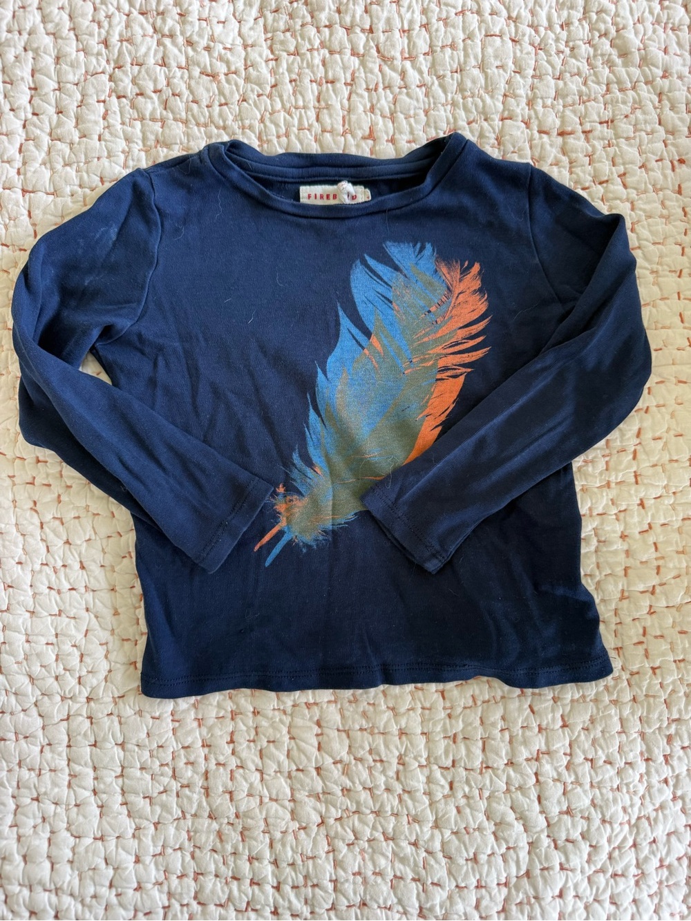 Long sleeve shirt with feather graphic